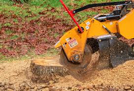 Best Soil Testing and Treatment  in Elizabeth City, NC